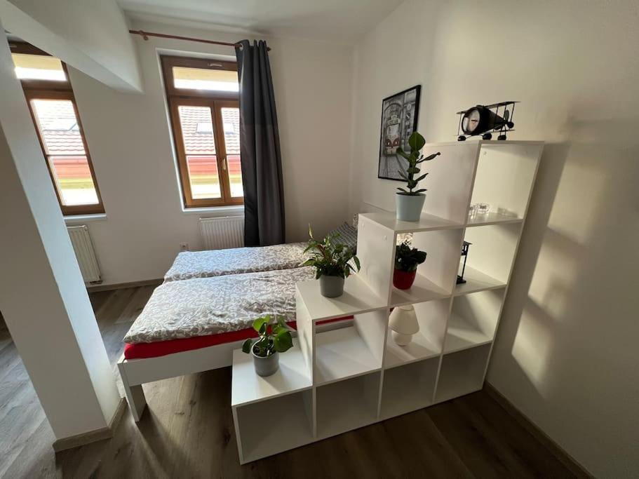 Apartmán Modern Krymska & Francouzska Street