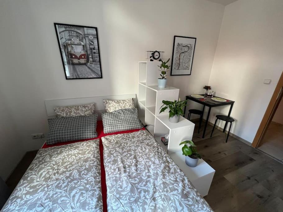 Apartmán Modern Krymska & Francouzska Street